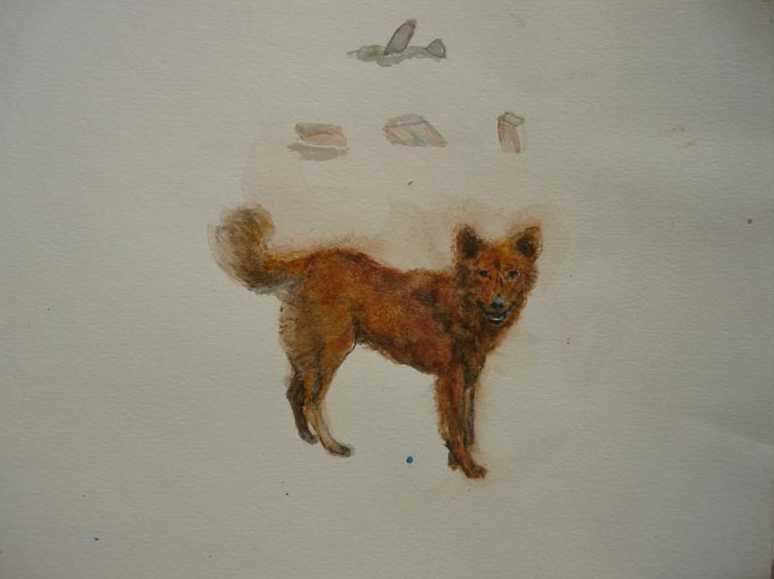 Pes, akvarel A4